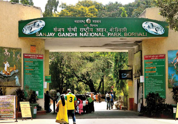 Sanjay Gandhi National Park, Mumbai Suburban, Maharashtra - Vushii.com Sanjay Gandhi National Park, Mumbai Suburban, Maharashtra - Vushii.com